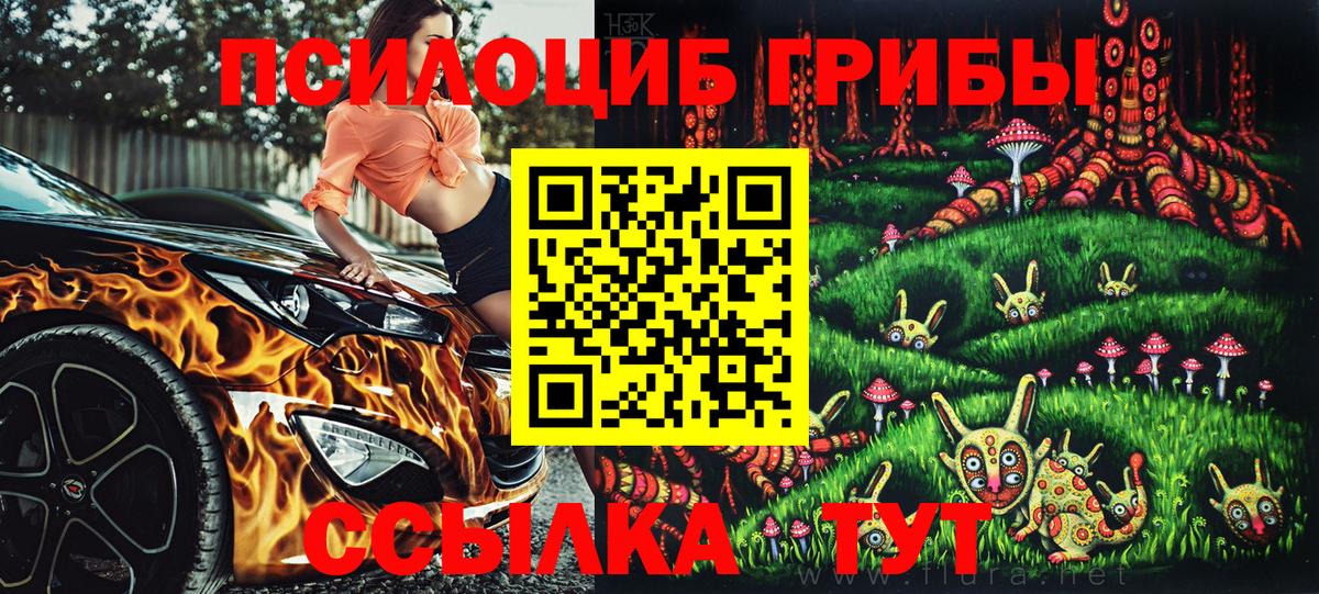 Галлюциногенные грибы Cubensis Калининград
